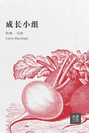 成长小组──如何带领小组的培训课程(简)