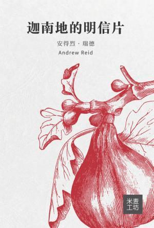 迦南地的明信片(简)