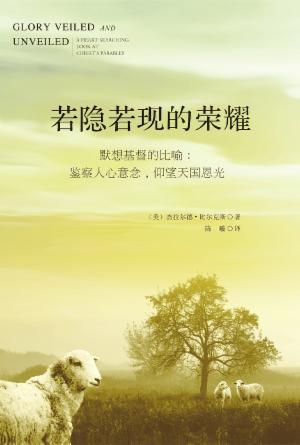 若隐若现的荣耀(简)