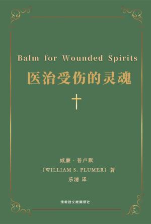 [免费] 医治受伤的灵魂(简)