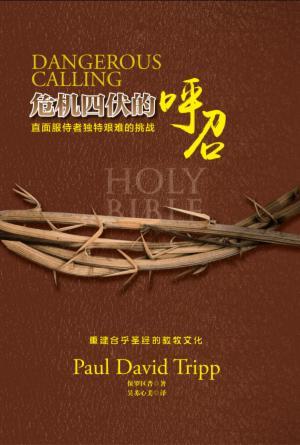 危机四伏的呼召(简)