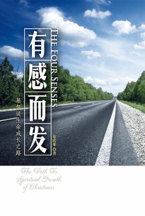 有感而发：基督徒生命成长之路(简)